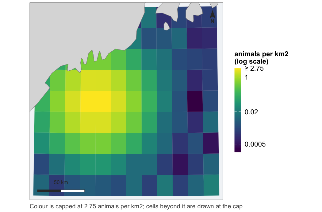 A predicted density surface over the Gulf of Maine: a grid of square cells coloured on a log scale from dark blue to yellow, brightest in a patch near the coast, with land in grey, a scale bar and a north arrow.