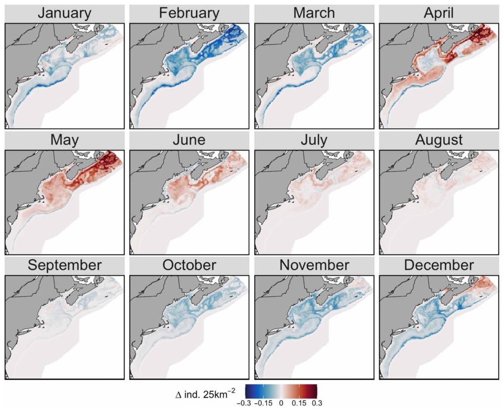 Twelve monthly anomaly maps from Cape Hatteras to the Scotian Shelf, showing the change in predicted right whale density when copepod prey fields replace conventional covariates. Red indicates higher predicted density, blue lower; the strongest increases are in April and May.