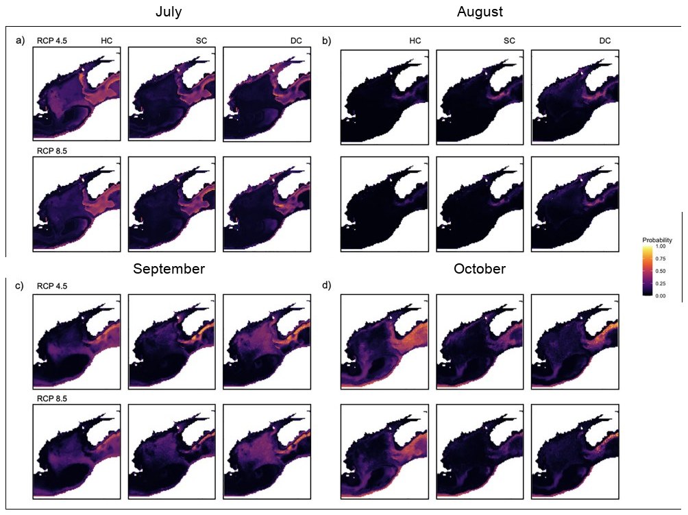 Twenty-four small maps of the Gulf of Maine showing modelled right whale habitat suitability in the year 2050, arranged in four labelled blocks for July, August, September and October, each under two emissions scenarios and three chlorophyll assumptions. Suitability concentrates along the shelf edge and the eastern Gulf.
