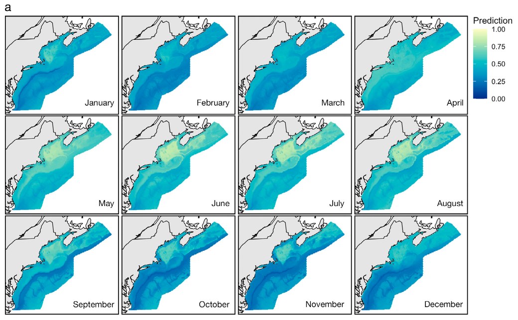 Twelve monthly maps of the northeast US shelf and Gulf of Maine, shaded by predicted probability of a high-density Calanus finmarchicus patch. Probability is highest across the Gulf of Maine from May through September and lowest in late autumn and winter.